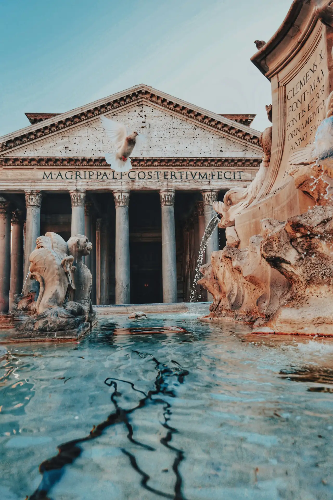 gloria-cretu-iek_zWEB0Fw-unsplash.webp